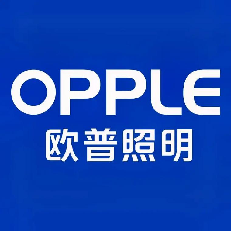 案例1
